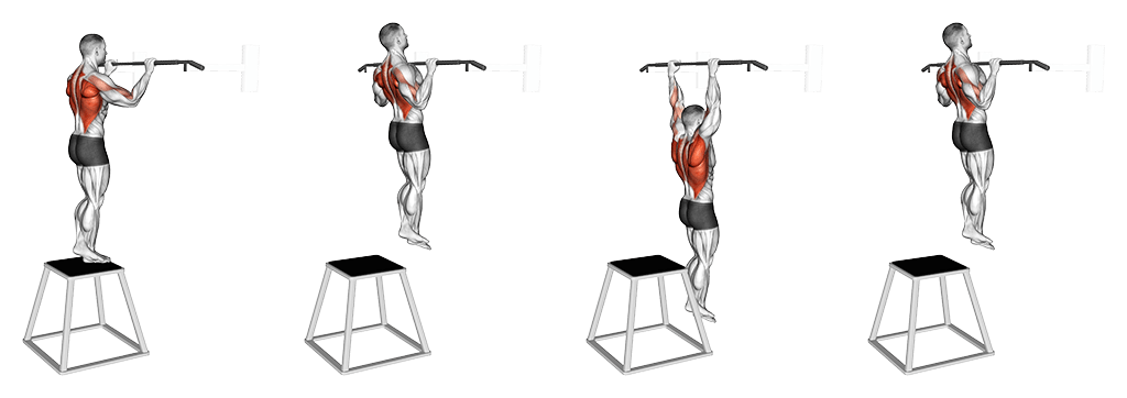 Negative Pull-Up exercise illustration