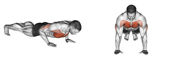 Push Pull Legs Exercise Routine Calisthenics Push Pull Legs: 3-Day Bodyweight Split