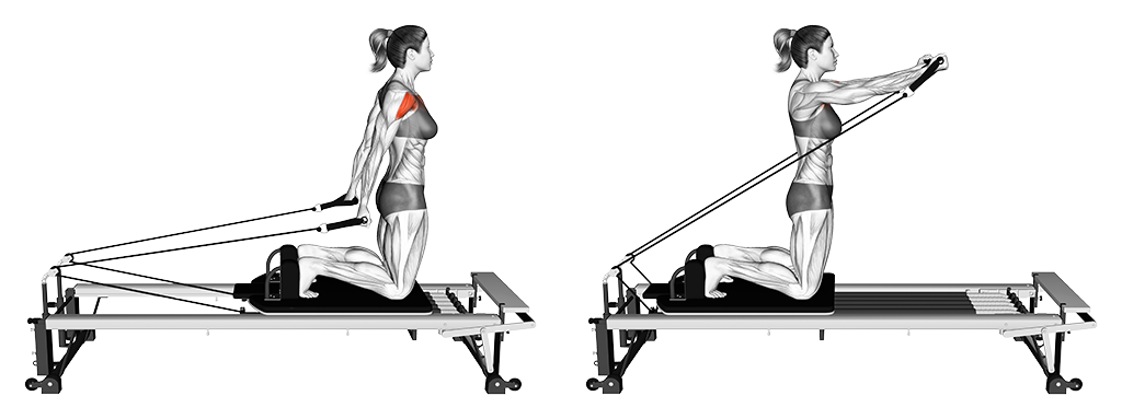 Reformer Kneeling Arm Circles: Front delt exercise | Heft