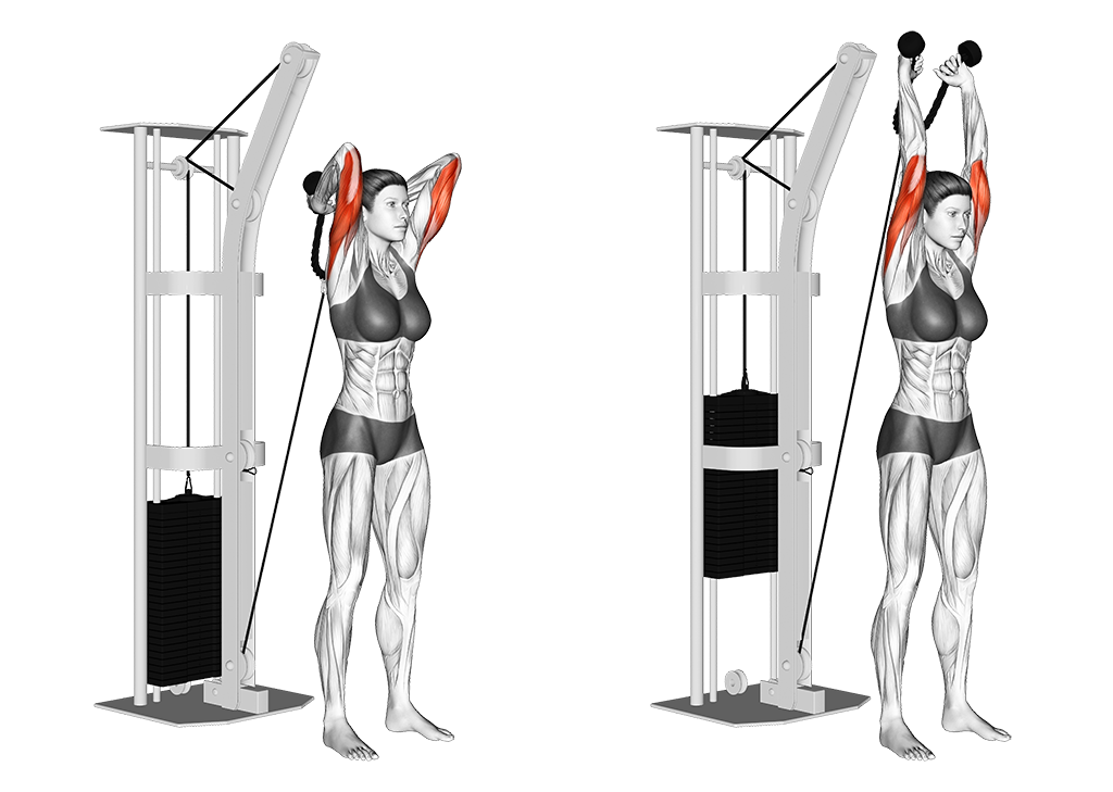 How to do the Overhead Cable Low Tricep Extension: form, steps & mistakes